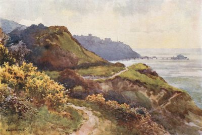 Ventnor vom Steephill Walk von Ernest William Haslehust