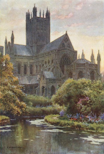 Wells Kathedrale von den Quellen von Ernest William Haslehust