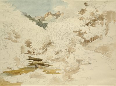 Wald bei Massa von Ernst Fries