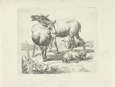 Drei Schafe und ein Lamm auf einer Weide von Ernst Ludwig Creite