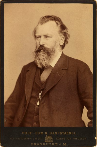 Porträt des Komponisten Johannes Brahms 1833-1897, ca. 1870 von Erwin Hanfstaengl