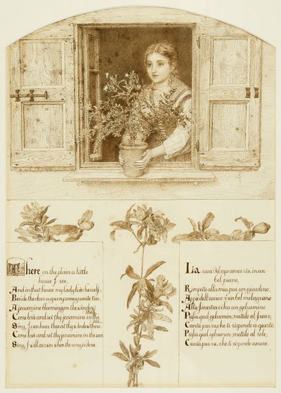 Das Jessamine-Fenster, Zeichnung zu 