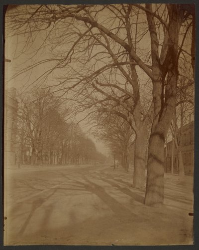Avenue de l