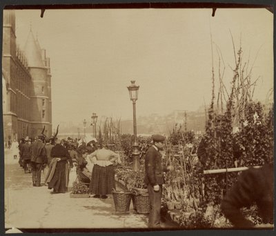 [Der Blumenmarkt] von Eugène Atget