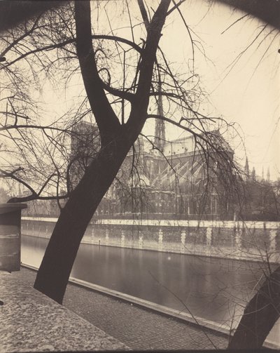 Notre-Dame, 1922 (Foto) von Eugène Atget