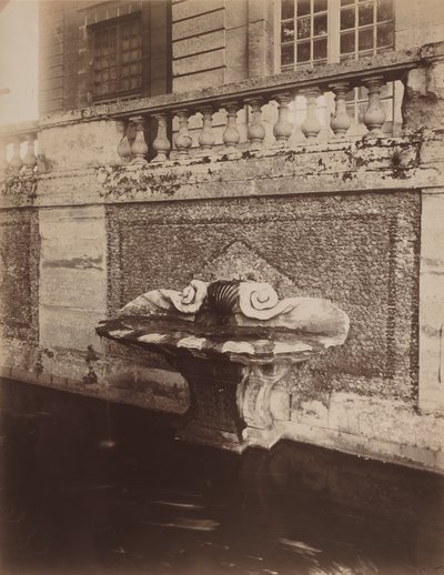 Parc de Sceaux, ca. 1857-1927 (Foto) von Eugène Atget
