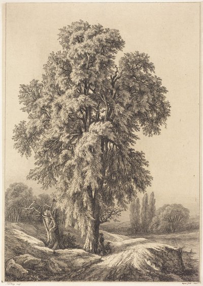 Der Ulmenbaum von Eugene Bléry