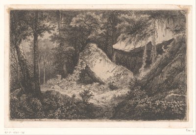 Bewachsene Felsen in einem Wald von Eugene Bléry