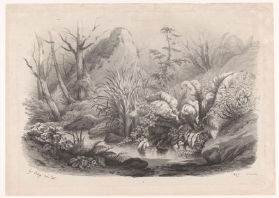 Uferpflanzen an einem Bach von Eugene Bléry