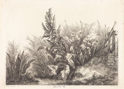Geduld des Wassers, Studie eines Geduld-Docks, 1840 von Eugene Bléry