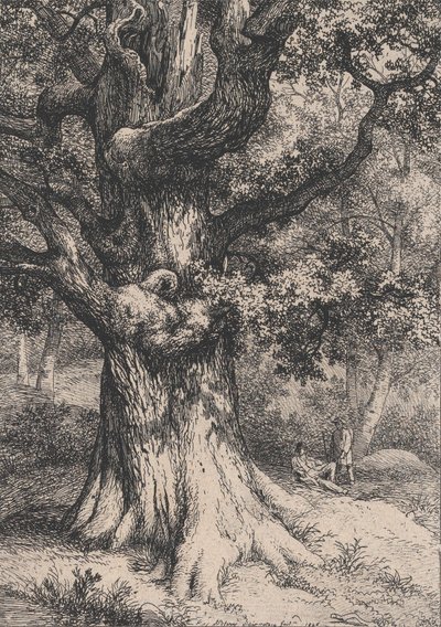 Der Karl der Große, Eiche mit einem Adlernest, 1845 von Eugene Bléry