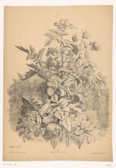 Tomaten und Rosen von Eugene Bléry
