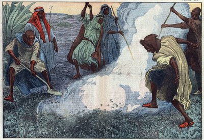 Die Zerstörung von Heuschrecken in Algerien: Die Araber verbrennen sie unter Schreien und Verwünschungen. Illustration von Damblans. In „Le Pelerin“ vom 4. Juli von Eugene Damblans