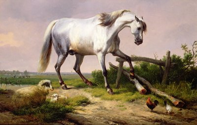 Ein grauer Hengst mit Schafen und Geflügel von Eugene Joseph Verboeckhoven