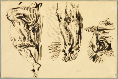 Studie von Armen und Beinen des gekreuzigten Christus von Eugène Delacroix
