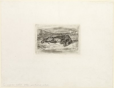 Tiger ruht in der Wüste von Eugène Delacroix