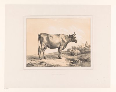 Kuh und Schaf in einer Landschaft von Eugène Verboeckhoven