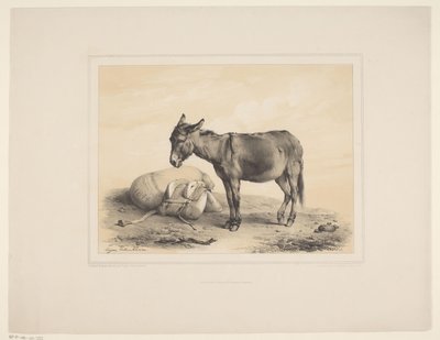 Rastender Packesel von Eugène Verboeckhoven