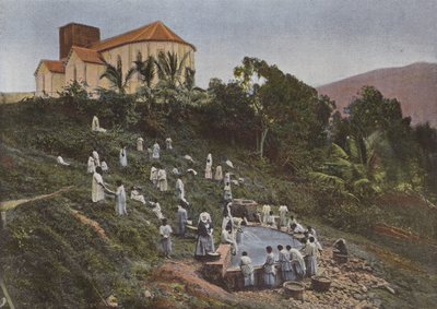 Kaledonische Kinder am Waschplatz, Saint-Louis, Schwestern von European Photographer
