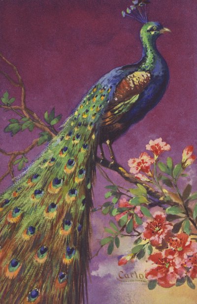 Ein Pfau sitzt in einem Baum mit Blumen von European School