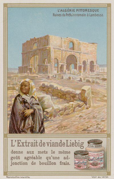 Antike römische Ruinen in Lambaesa von European School