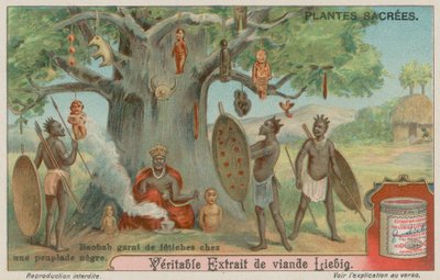 Baobab-Baum mit Fetischen einer afrikanischen Stammesgemeinschaft von European School