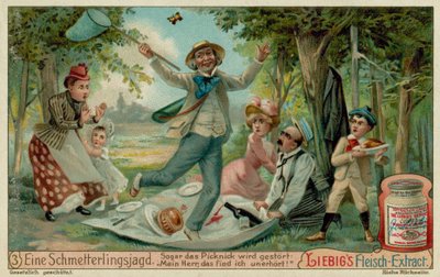 Schmetterlingsjagd und Picknick von European School