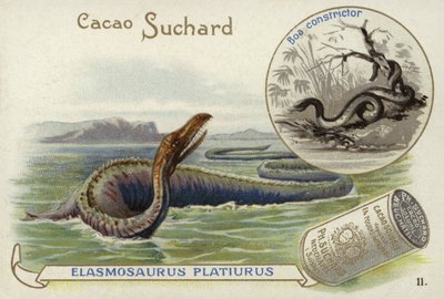 Elasmosaurus und Boa Constrictor von European School