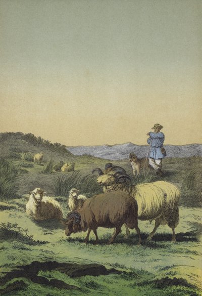 Heiden Mitteleuropas: Schäfer und Schäferhund mit Moor- und Merinoschafen von European School