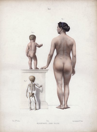 Illustration für Die Anatomie der äußeren Formen des Menschen: Frau und Kind stehend, Rückansicht von European School