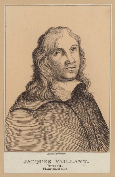 Jacques Vaillant, niederländischer Maler (Radierung) von European School