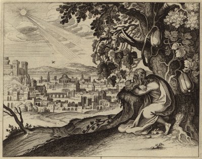 Jona sucht Schutz vor der Sonne im Schatten eines Weinstocks von European School