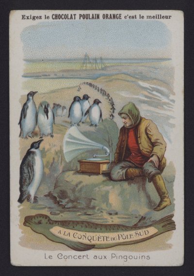Das Konzert der Pinguine von European School