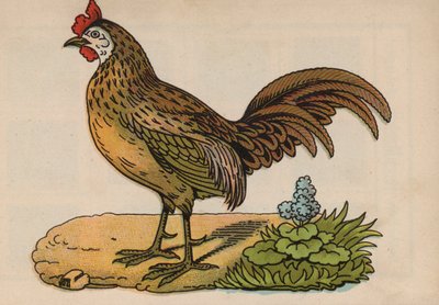 Seite aus dem magischen Buch von European School