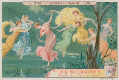 Sylphen tanzen im Mondlicht von European School
