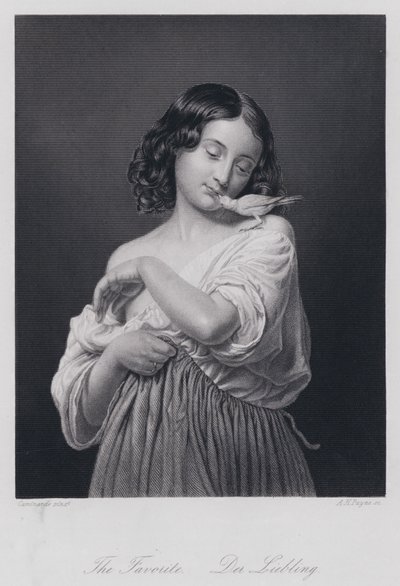 Der Favorit (Stich) von European School