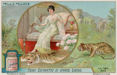 Der Tiger von European School