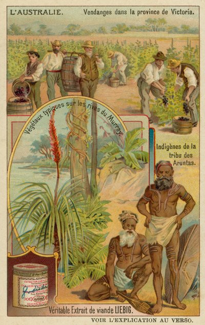 Weinbauern in Victoria, Aranda-Aborigines und typische Pflanzen entlang der Murray-Ufer von European School