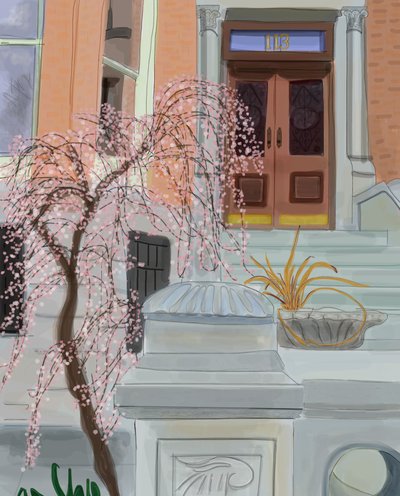 Blühender Kirschbaum, Brooklyn, 2017 von Evan Sklar