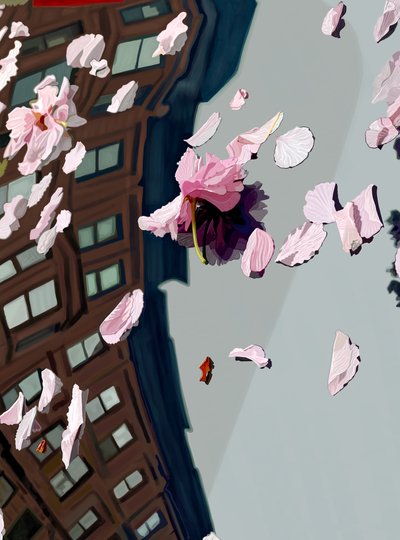 Kirschblüten auf Autowindschutzscheibe geweht von Evan Sklar