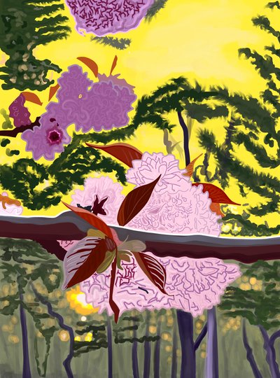 Kirschblüten auf Zweig, Brooklyn von Evan Sklar