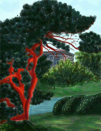 Nadelbaum bei Litchfield Villa, Prospect Park von Evan Sklar