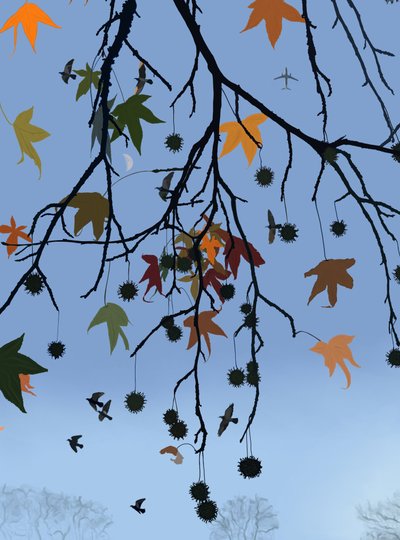 Gummibaum, Vögel und Mond, Brooklyn von Evan Sklar