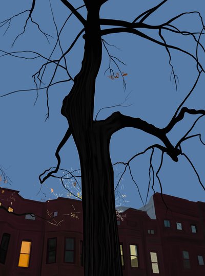 Häuser und Baum bei Nacht, Brooklyn von Evan Sklar