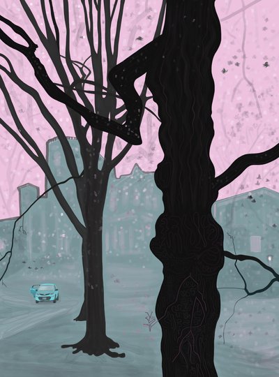 Alter Baum, Altes Haus und Auto von Evan Sklar