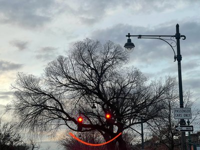 Lächelnder Baum und Ampeln. Brooklyn von Evan Sklar