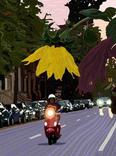 Sonnenblume und Mann auf rotem Roller von Evan Sklar