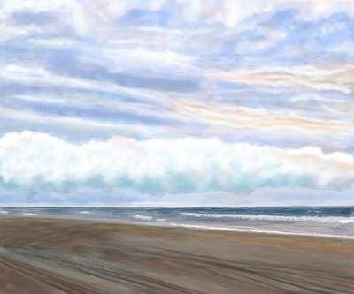 Schwanenstrand von Evan Sklar