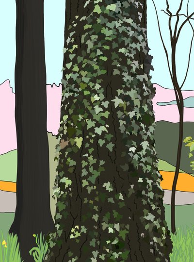 Baum mit Efeu von Evan Sklar