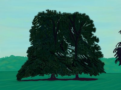 Zwei Lindenbäume auf dem Feld von Evan Sklar